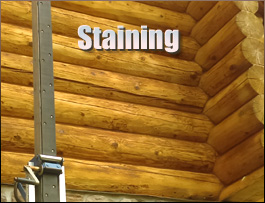  Smilax, Kentucky Log Home Staining
